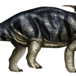 Achelousaurus walking scaled