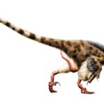 Achillobator flip wings 1