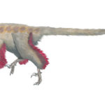 Achillobator flying