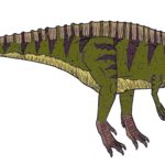 Acrocanthosaurus right view scaled