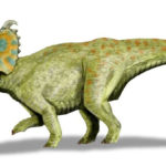 Albertaceratops running