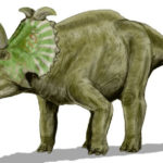 Albertaceratops walking