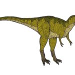 Albertosaurus right view scaled
