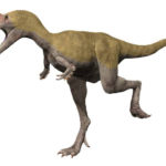 Albertosaurus running