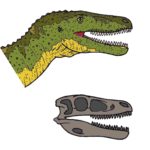 Alectrosaurus head