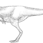 Alectrosaurus height