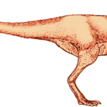 Alectrosaurus right view