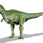 Alioramus standing