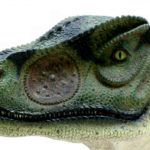 Allosaurus head