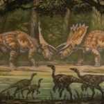 Anchiceratops facing off scaled
