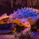 Ankylosaurus walking