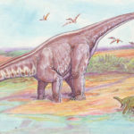 Apatosaurus drinking water