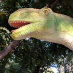Apatosaurus head