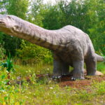 Apatosaurus long neck scaled