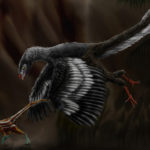 Archaeopteryx catching prey scaled