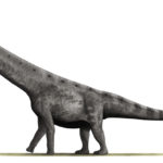 Argentinosaurus left view