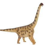 Argentinosaurus right view