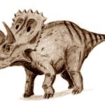 Arrhinoceratops walking