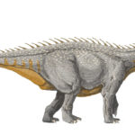 Barapasaurus spikes