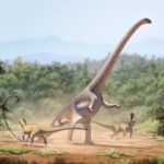Barosaurus fighting scaled