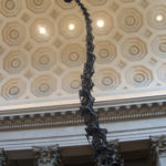 Barosaurus long neck skeleton