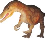 Baryonyx frontal view
