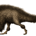 Beipiaosaurus feathered body