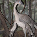 Beipiaosaurus flip wings
