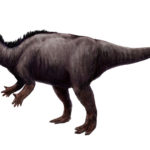 Camptosaurus left view