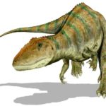 Carcharodontosaurus front view