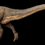 Carcharodontosaurus long tail