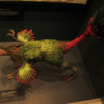 Caudipteryx model