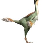 Caudipteryx standing