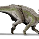 Centrosaurus leggings