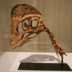 Chirostenotes skull