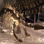 Chungkingosaurus skeleton