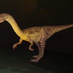 Coelophysis model