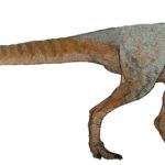 Cryolophosaurus walking