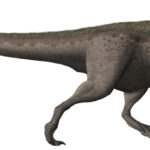 Daspletosaurus running