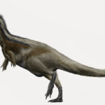 Daspletosaurus walk