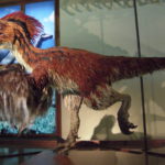 Deinonychus flip wings scaled