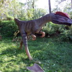 Dilophosaurus long legs