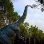 Diplodocus long neck