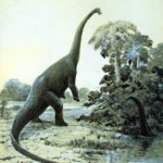 Diplodocus long tail