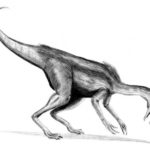 Dromiceiomimus long tail