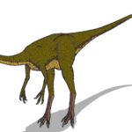 Dromiceiomimus sharp claws scaled