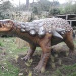 Edmontonia at the park