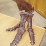 Edmontosaurus foot