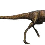 Elaphrosaurus left view scaled