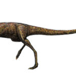 Elaphrosaurus walking scaled